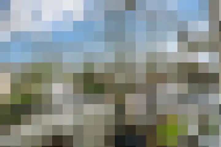 Dr Augustijnlaan 45 Rijswijk thumbnail 21