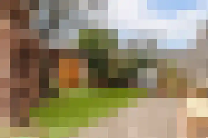 Dr Augustijnlaan 46 Rijswijk thumbnail 22