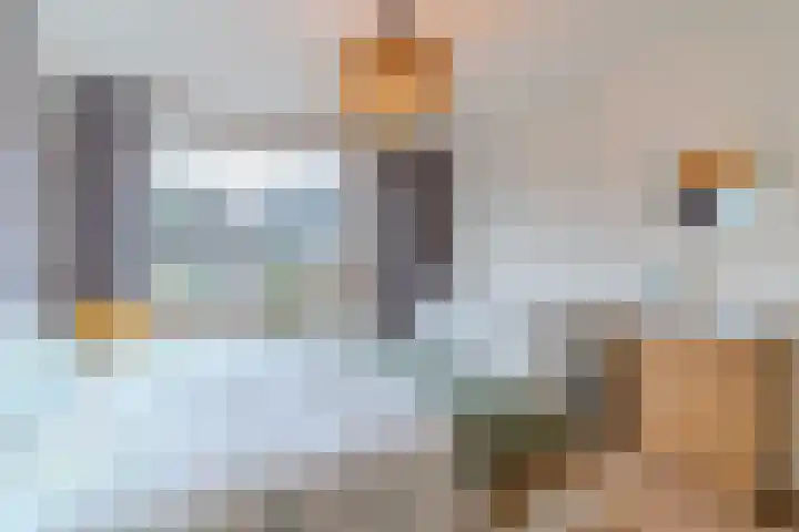 Dr Augustijnlaan 46 Rijswijk thumbnail 35