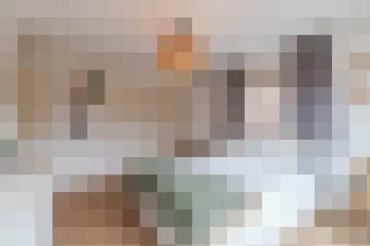 Dr Augustijnlaan 46 Rijswijk thumbnail 36