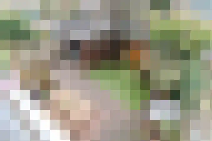 Dr Augustijnlaan 46 Rijswijk thumbnail 38