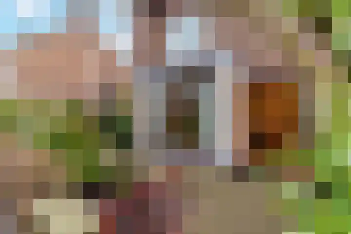 Dr Augustijnlaan 46 Rijswijk thumbnail 5