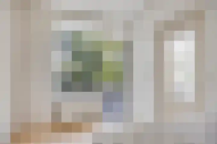 Dr Augustijnlaan 51 Rijswijk thumbnail 25