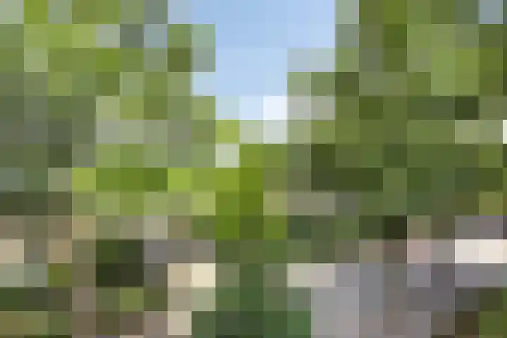 Dr Augustijnlaan 51 Rijswijk thumbnail 27