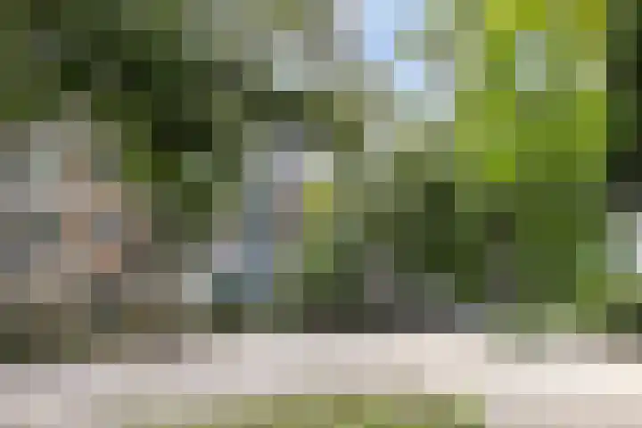 Dr Augustijnlaan 51 Rijswijk thumbnail 32