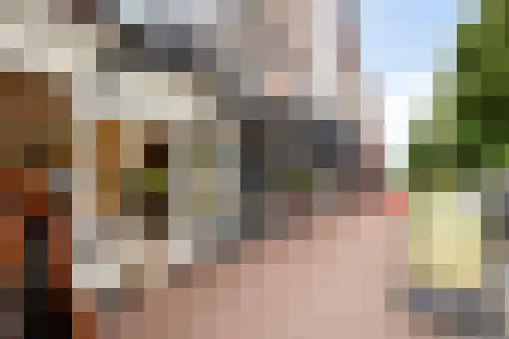 Dr Augustijnlaan 51 Rijswijk thumbnail 34