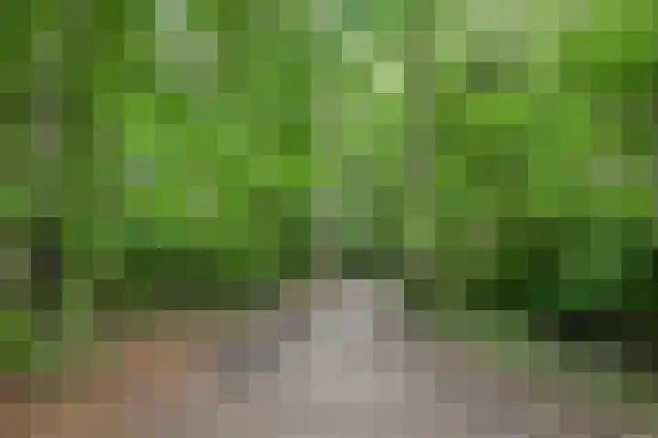 Dr Augustijnlaan 51 Rijswijk thumbnail 36