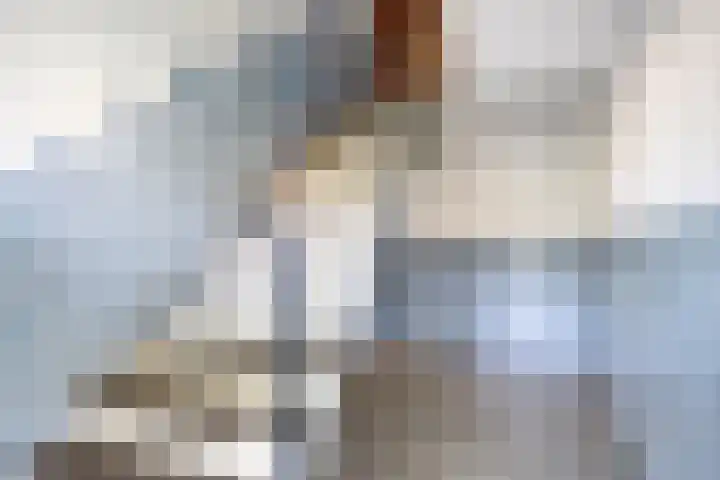 Dr Augustijnlaan 51 Rijswijk thumbnail 6