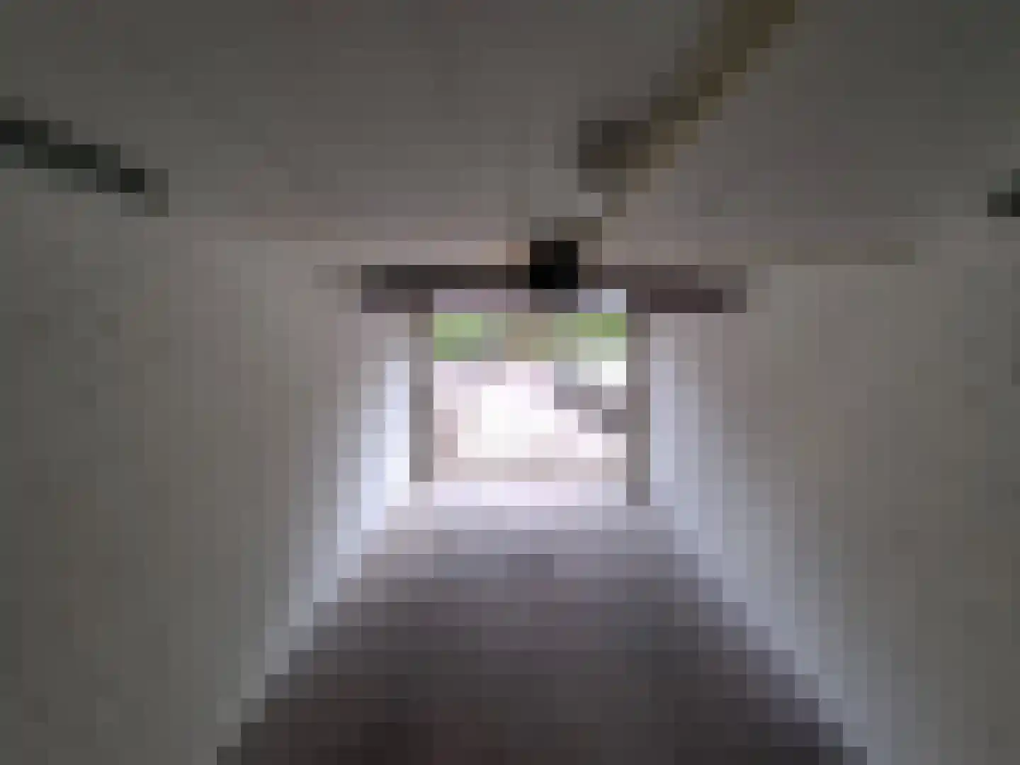 Dr Augustijnlaan 64 Rijswijk thumbnail 4