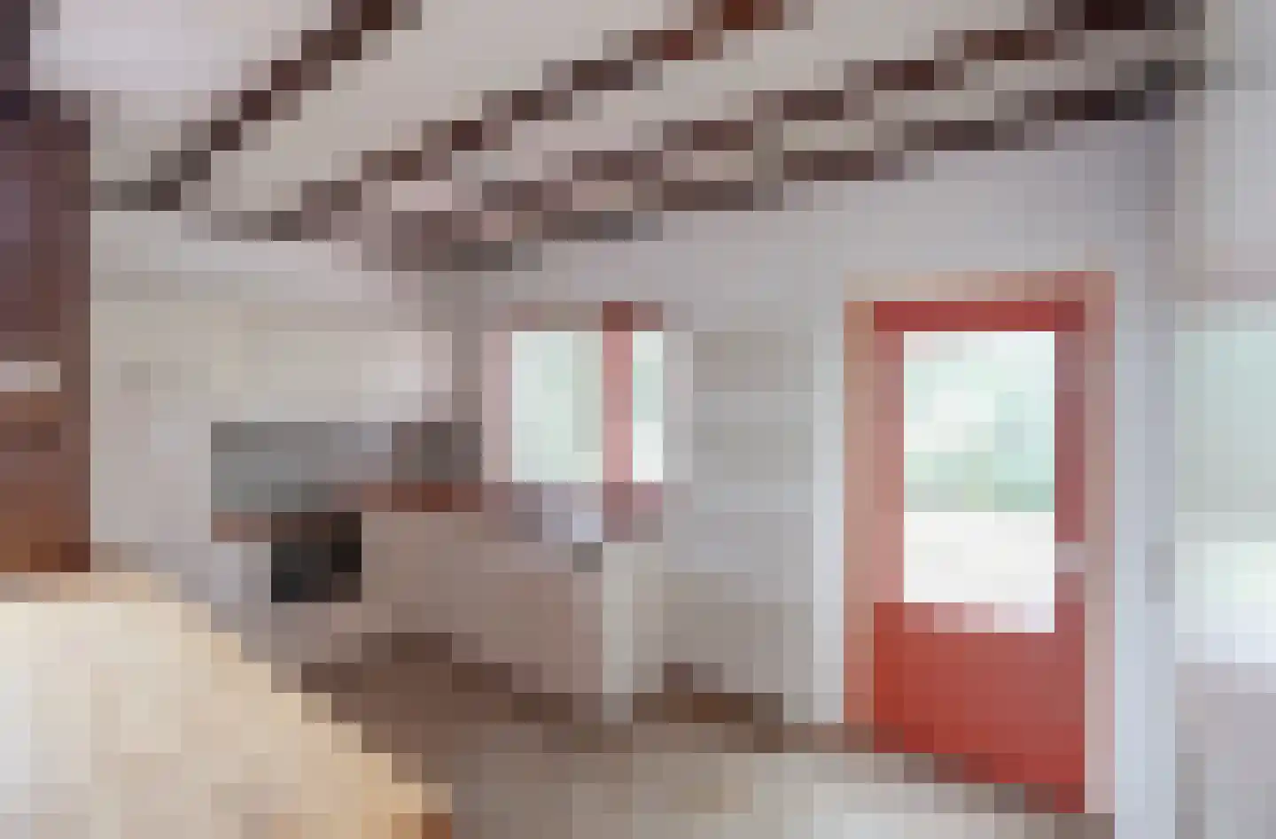 Dr B Bastiaansestr 15 Bemmel thumbnail 10