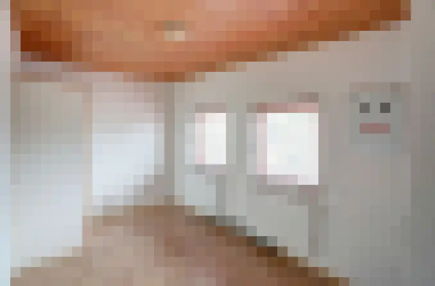Dr B Bastiaansestr 15 Bemmel thumbnail 13