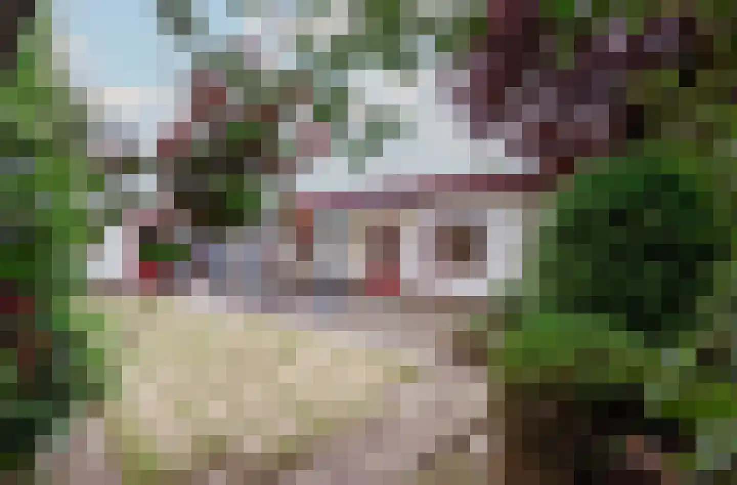 Dr B Bastiaansestr 15 Bemmel thumbnail 18