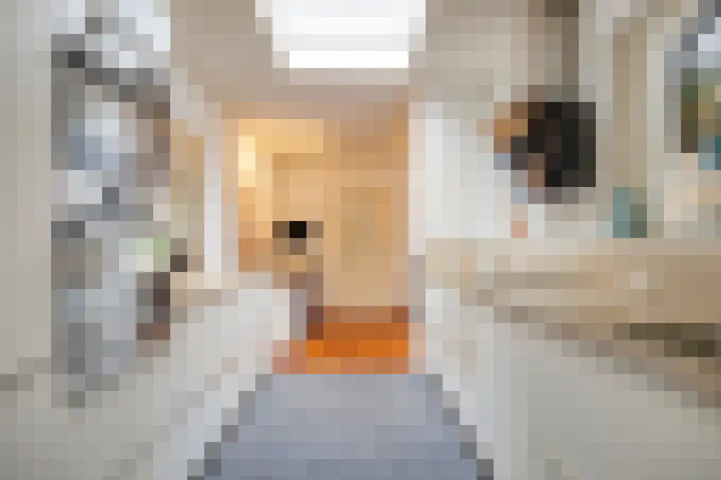 Dr. B. Brongersstraat 12 Veendam thumbnail 10