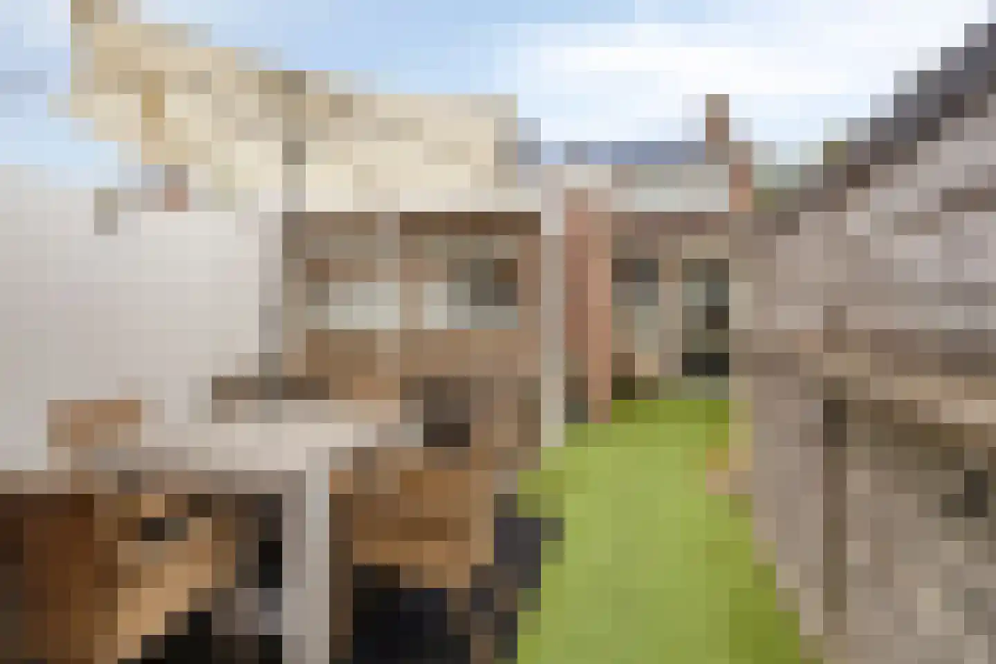 Dr. B. Brongersstraat 12 Veendam thumbnail 30