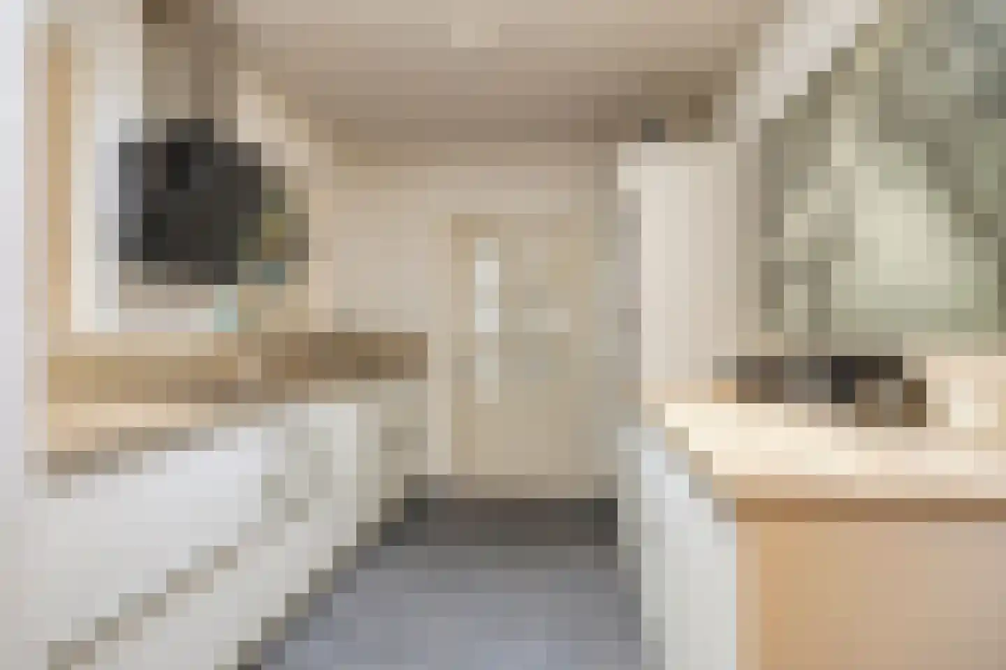 Dr. B. Brongersstraat 12 Veendam thumbnail 4