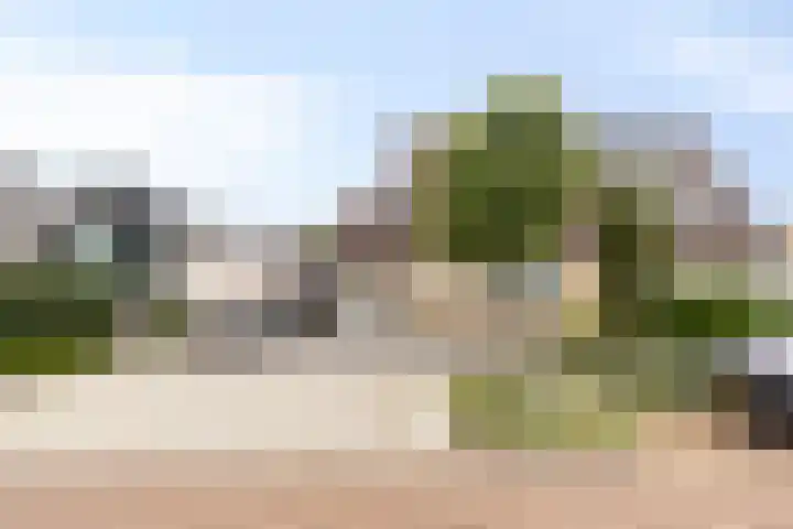 dr. B. Vaandragerstraat 3 Domburg thumbnail 10