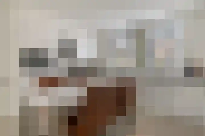 dr. B. Vaandragerstraat 3 Domburg thumbnail 18
