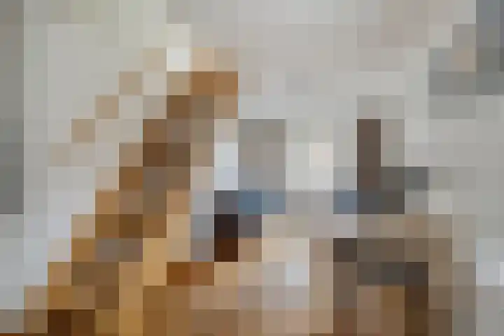 dr. B. Vaandragerstraat 3 Domburg thumbnail 32