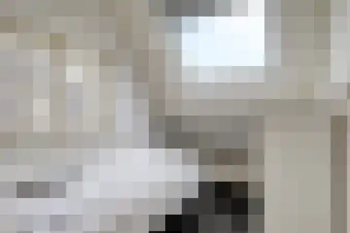 dr. B. Vaandragerstraat 3 Domburg thumbnail 38