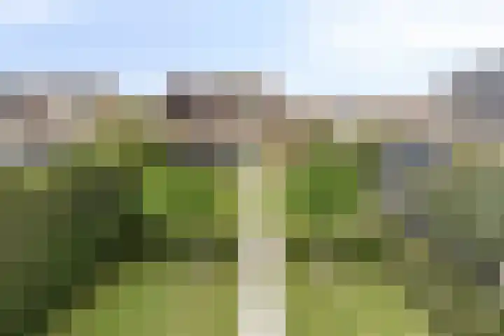 dr. B. Vaandragerstraat 3 Domburg thumbnail 39