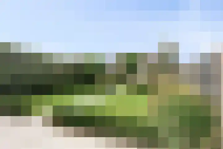 dr. B. Vaandragerstraat 3 Domburg thumbnail 41