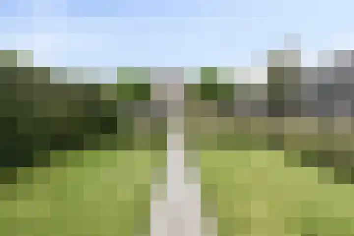 dr. B. Vaandragerstraat 3 Domburg thumbnail 5