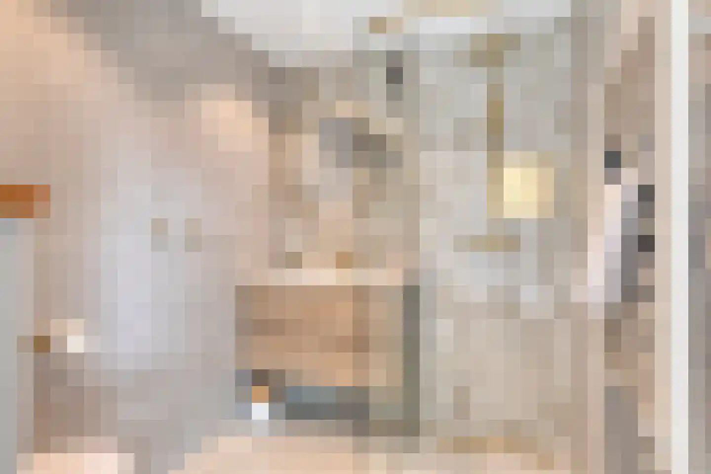 dr. B. Vaandragerstraat 6 Domburg thumbnail 38