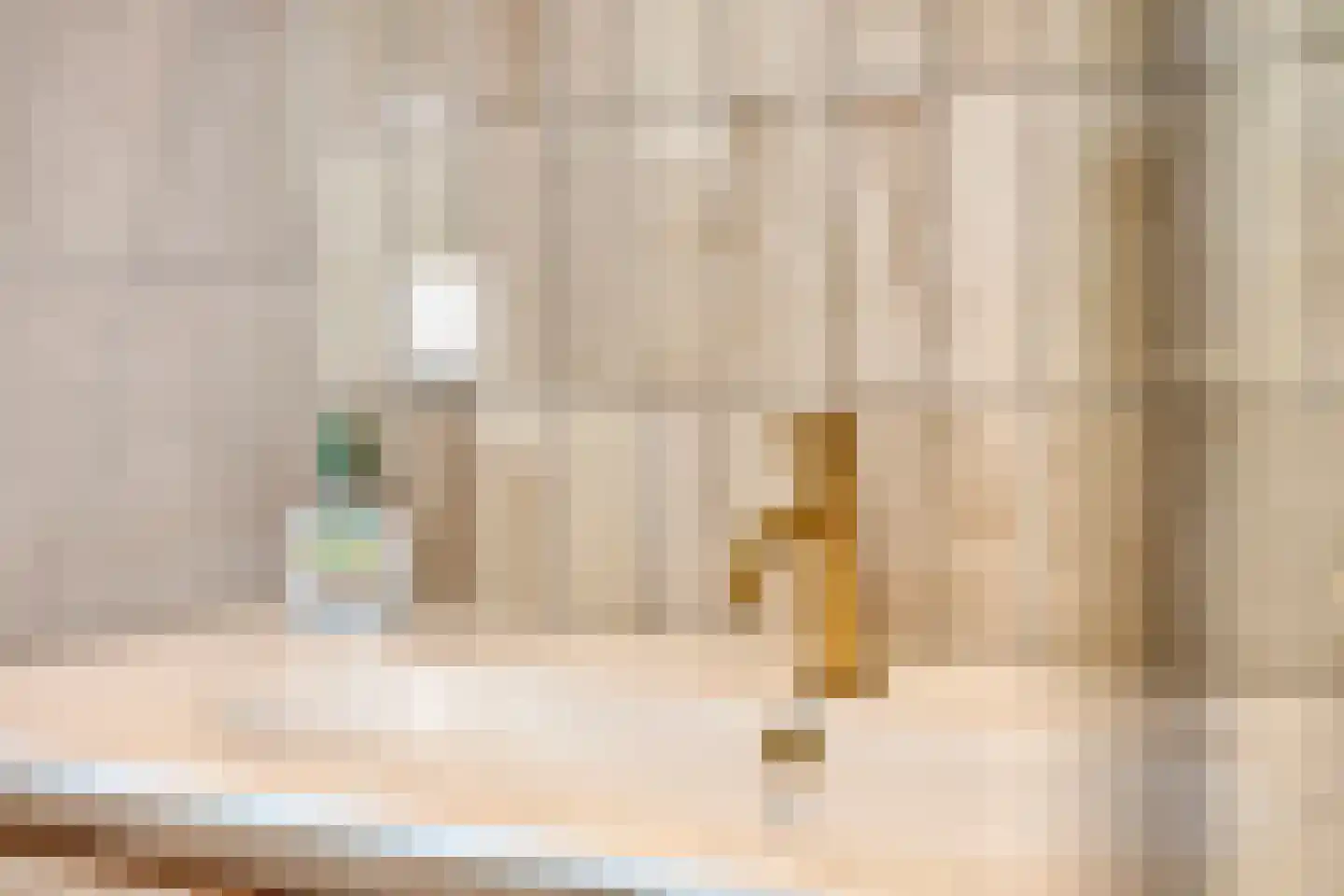 dr. B. Vaandragerstraat 6 Domburg thumbnail 39