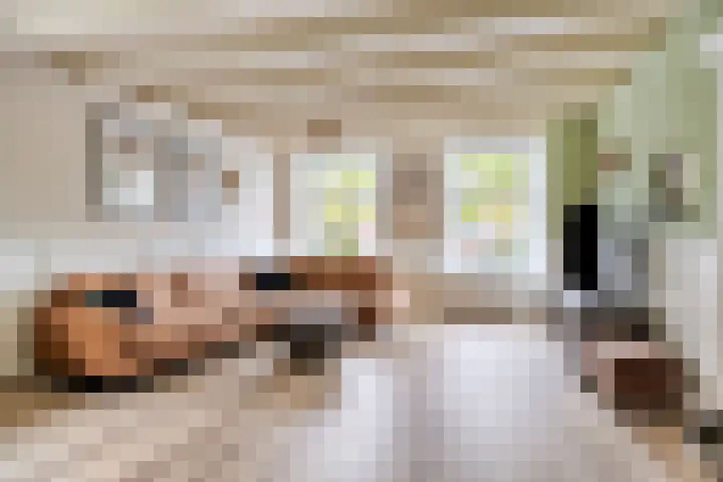 Dr. Baptiststraat 37 Megen thumbnail 10