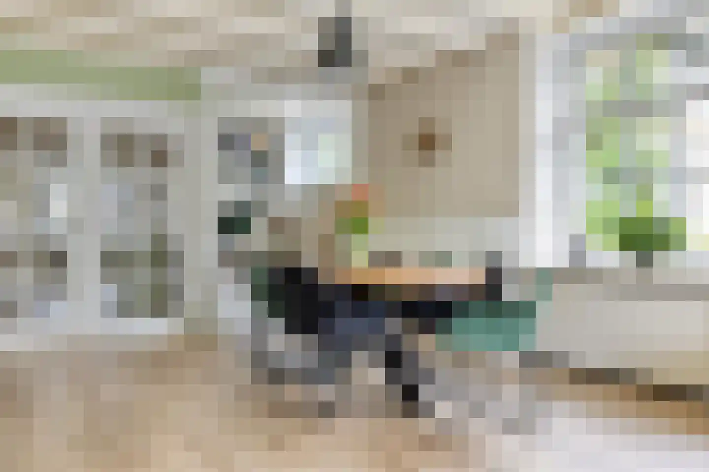 Dr. Baptiststraat 37 Megen thumbnail 13