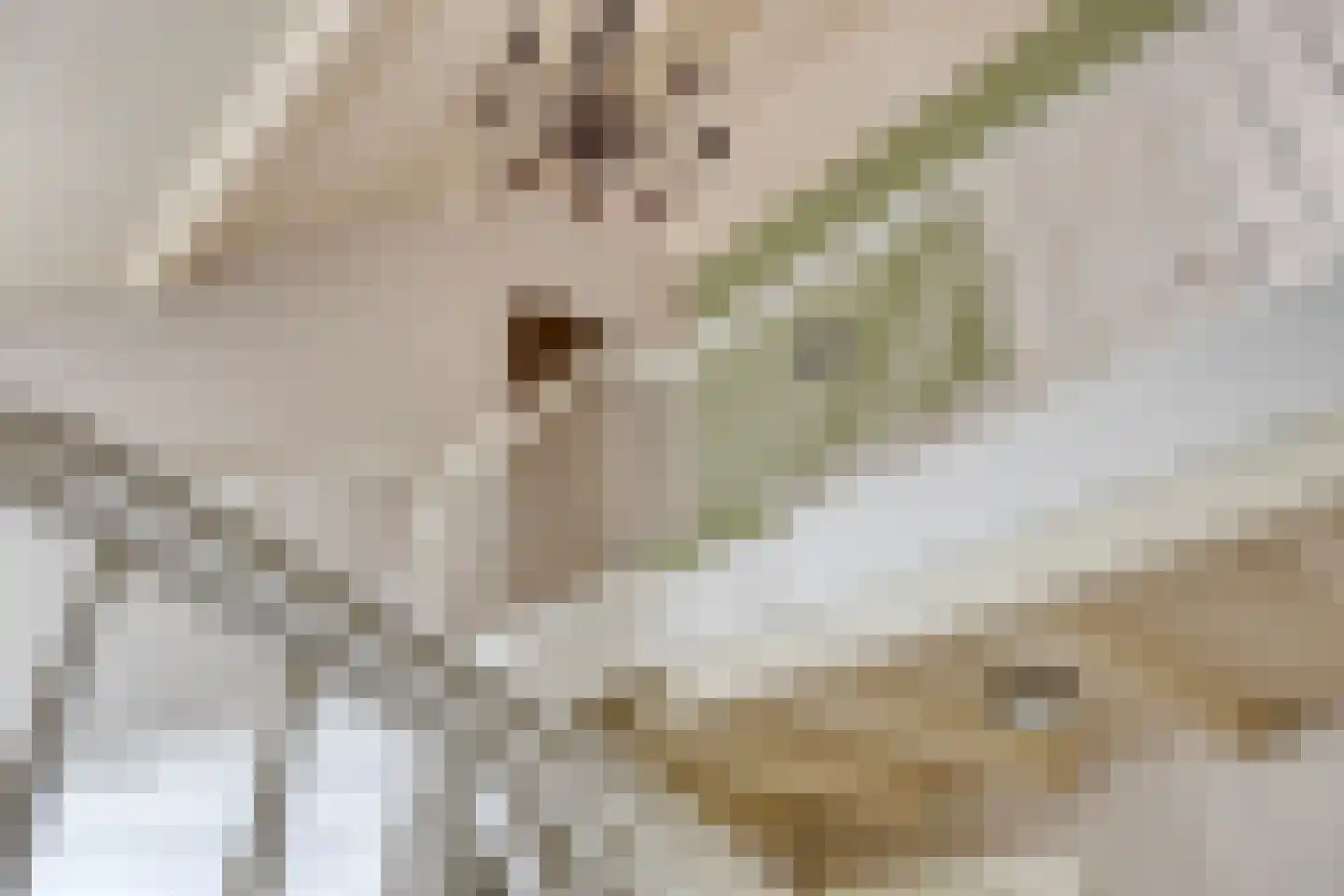 Dr. Baptiststraat 37 Megen thumbnail 36