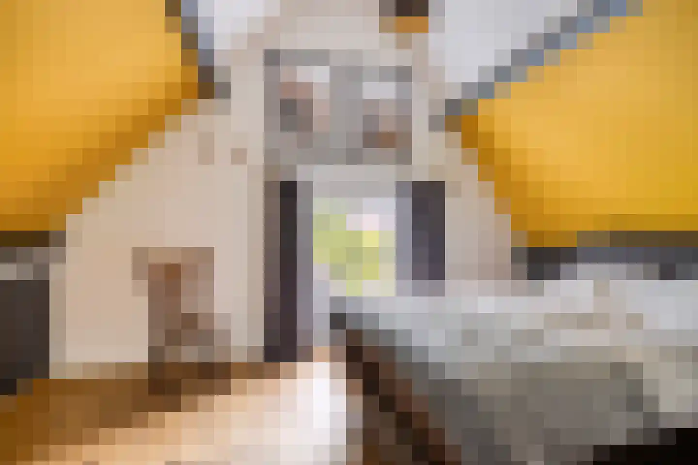 Dr. Baptiststraat 37 Megen thumbnail 38