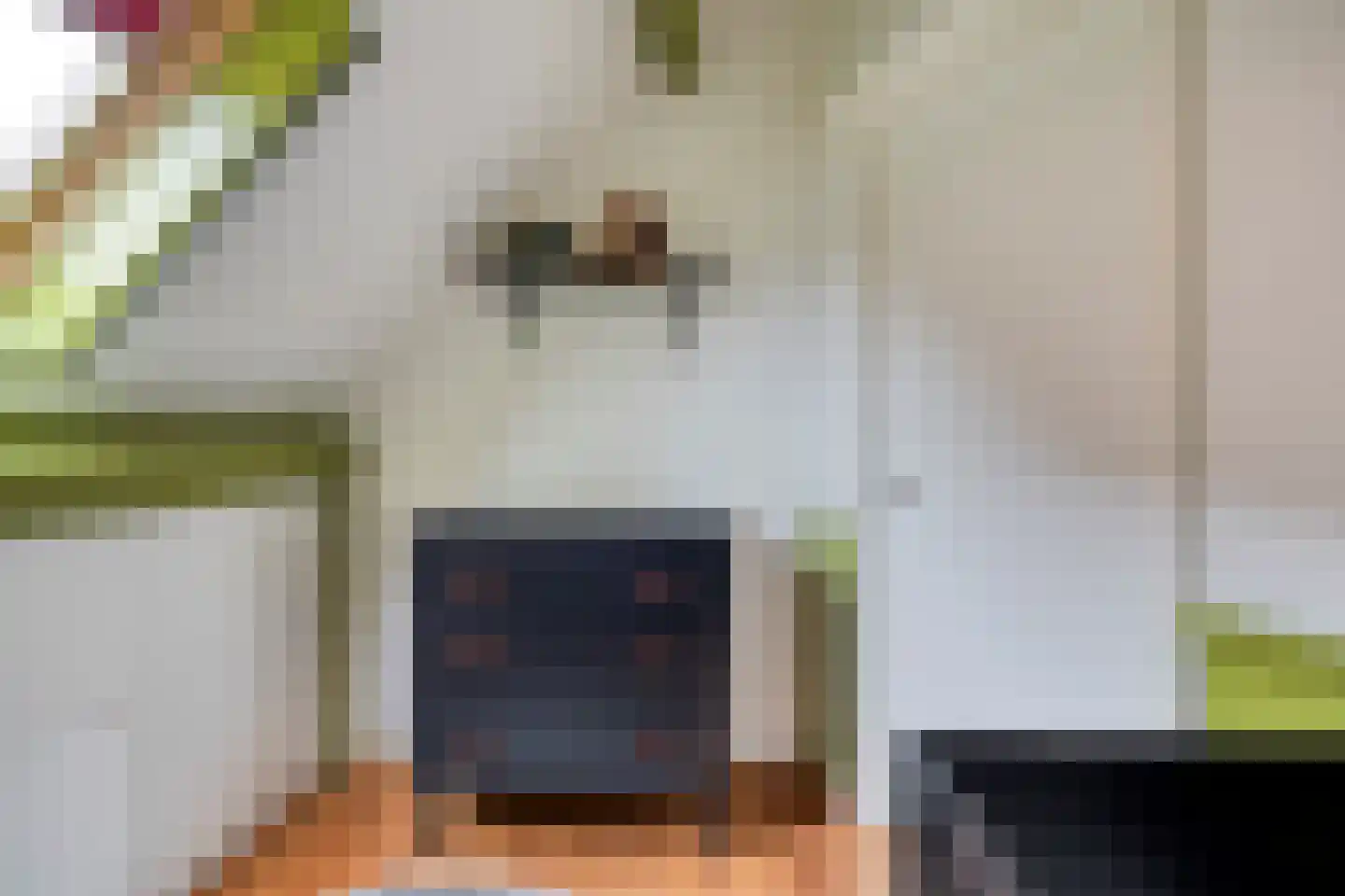 Dr. Baptiststraat 37 Megen thumbnail 43
