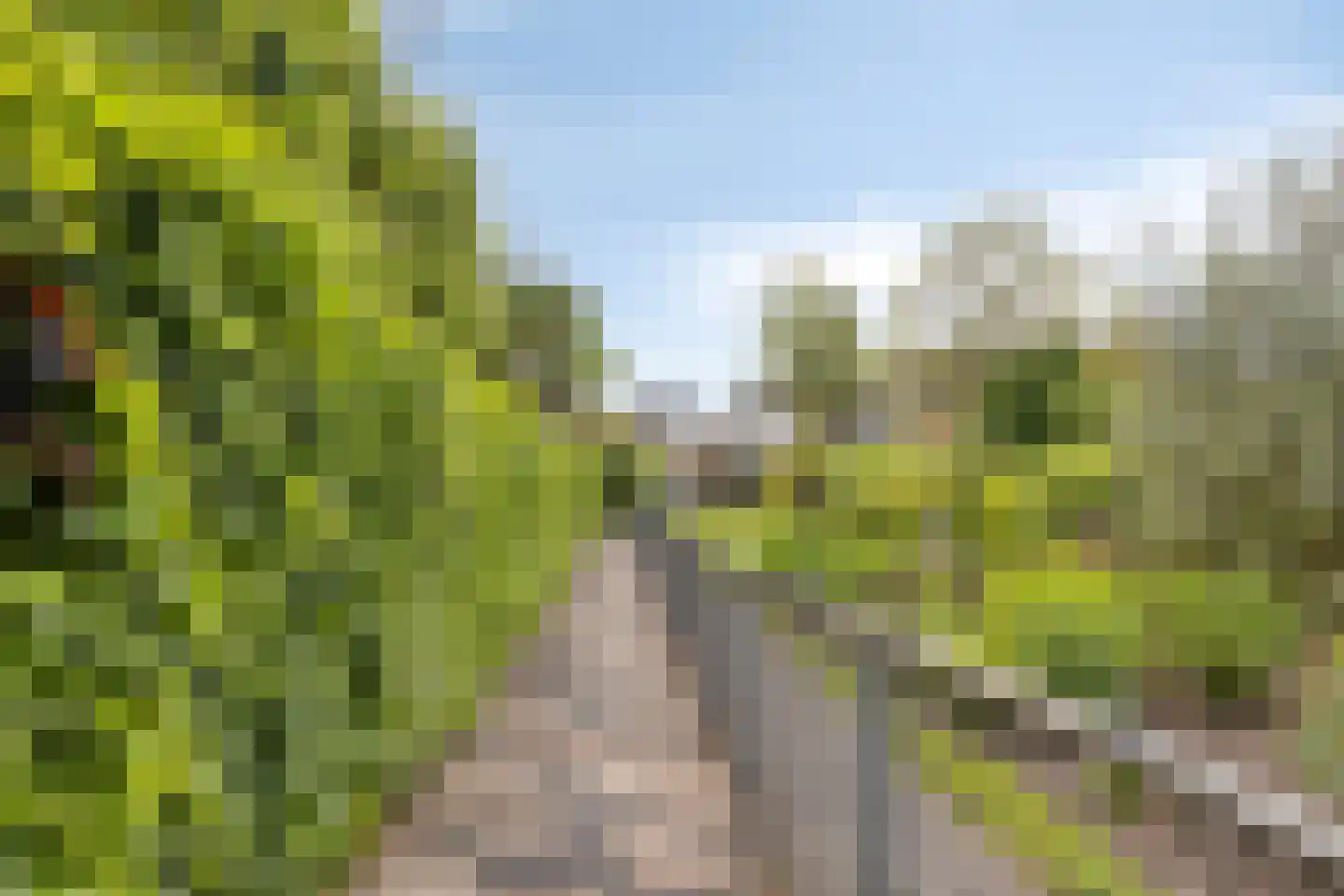 Dr. Baptiststraat 37 Megen thumbnail 53