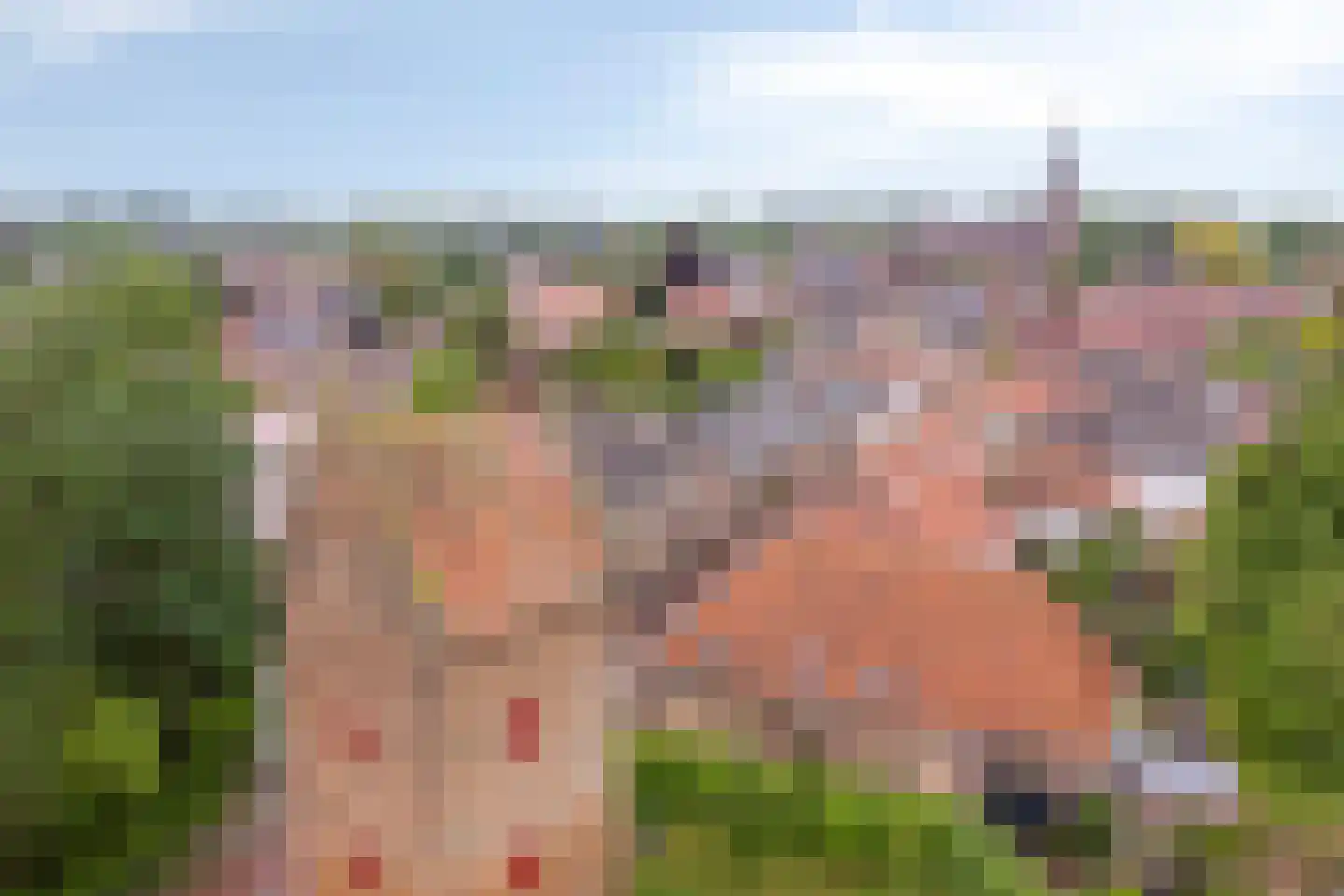 Dr. Baptiststraat 37 Megen thumbnail 59