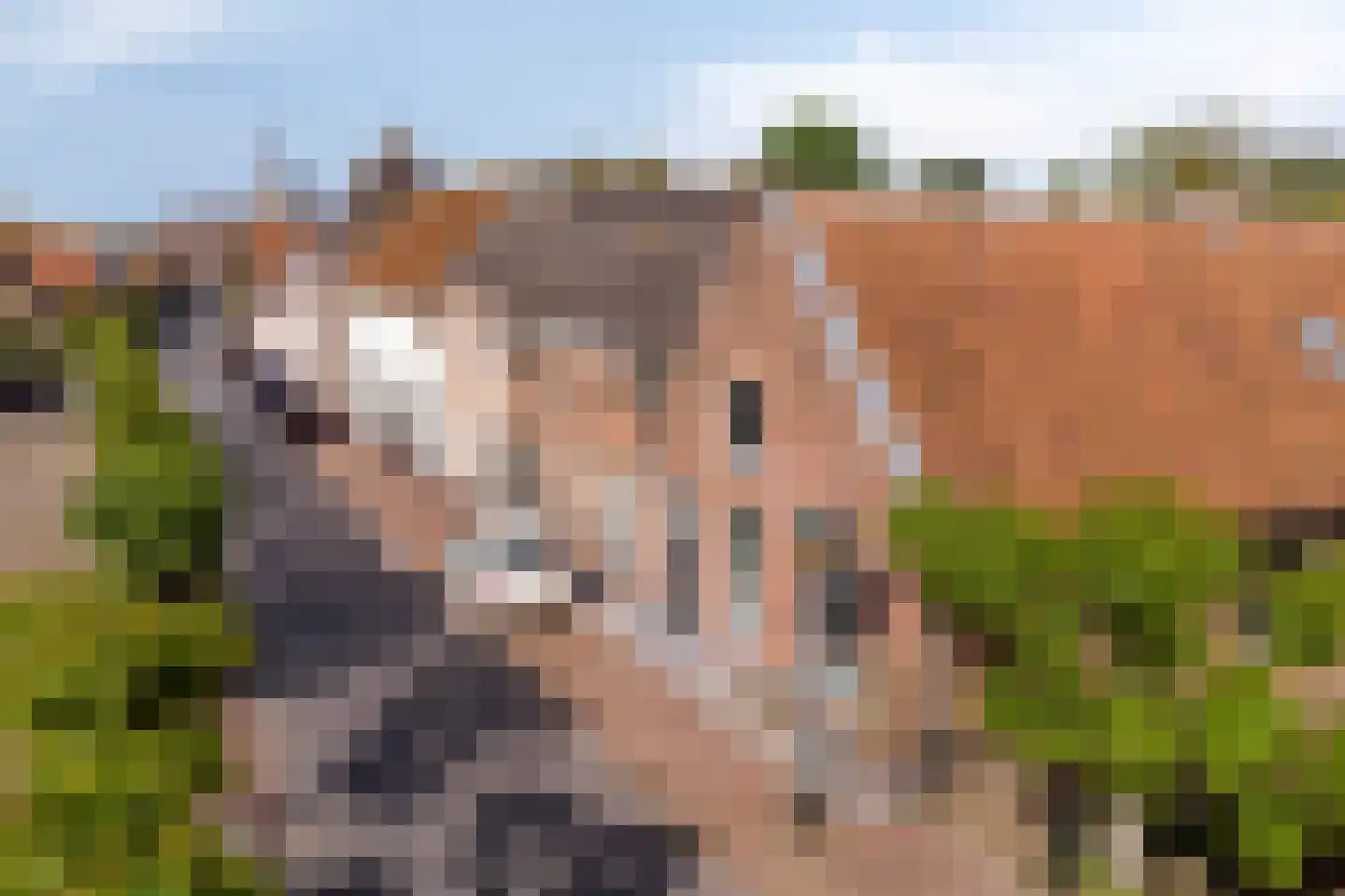 Dr. Baptiststraat 37 Megen thumbnail 64