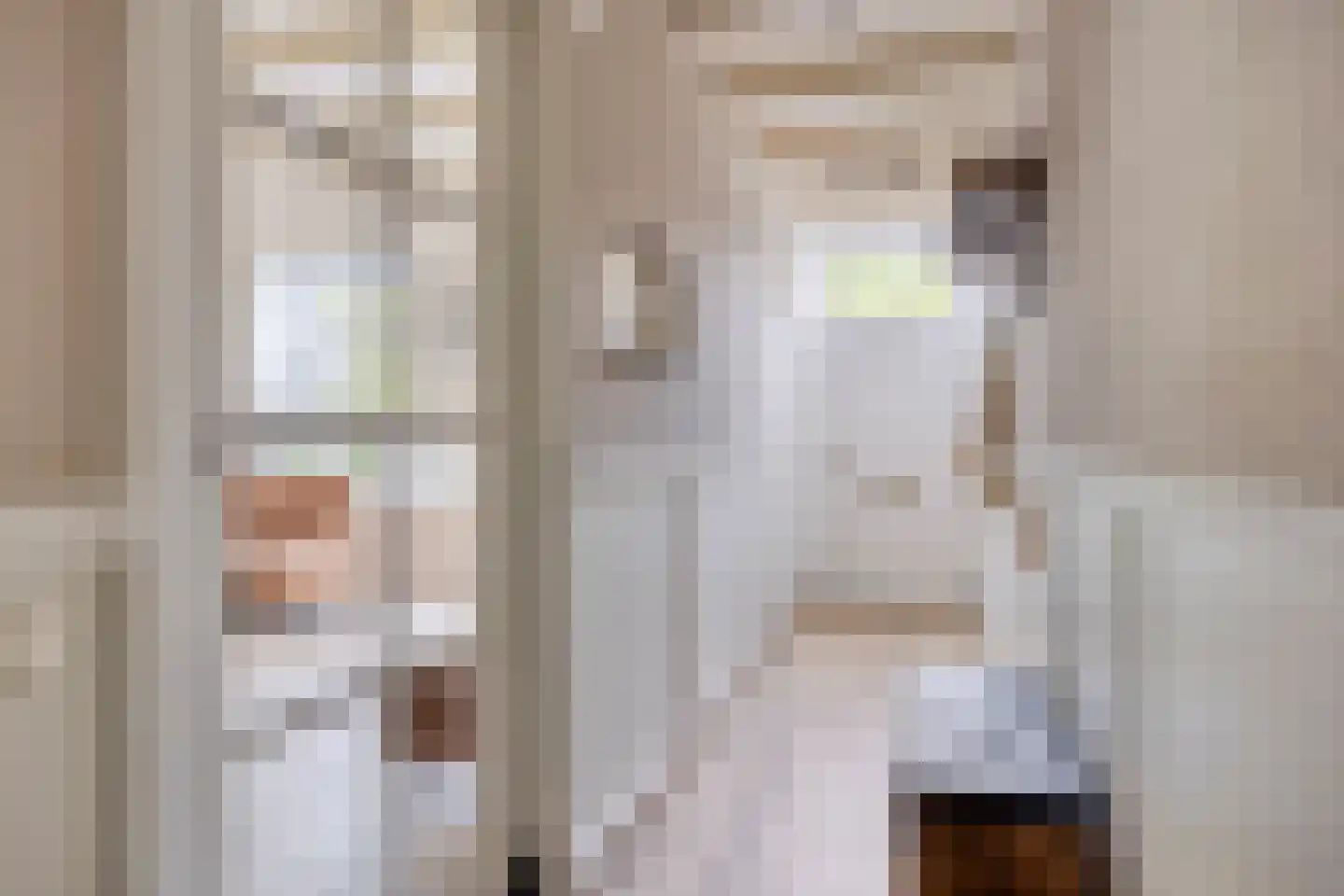 Dr. Baptiststraat 37 Megen thumbnail 8