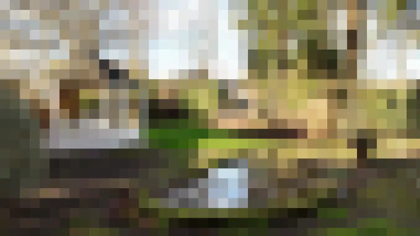 Dr. Baptiststraat 7 Megen thumbnail 21
