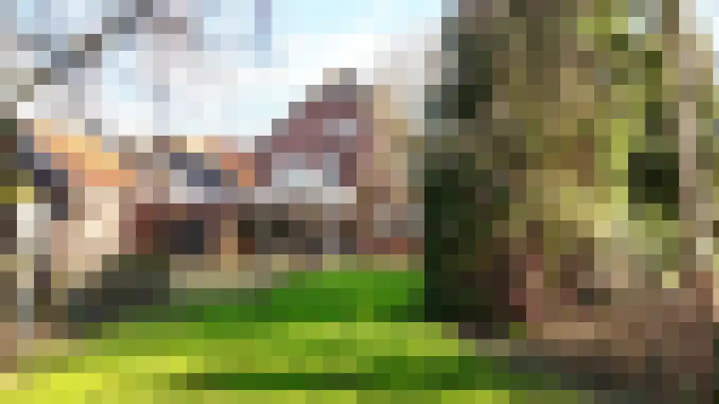 Dr. Baptiststraat 7 Megen thumbnail 23