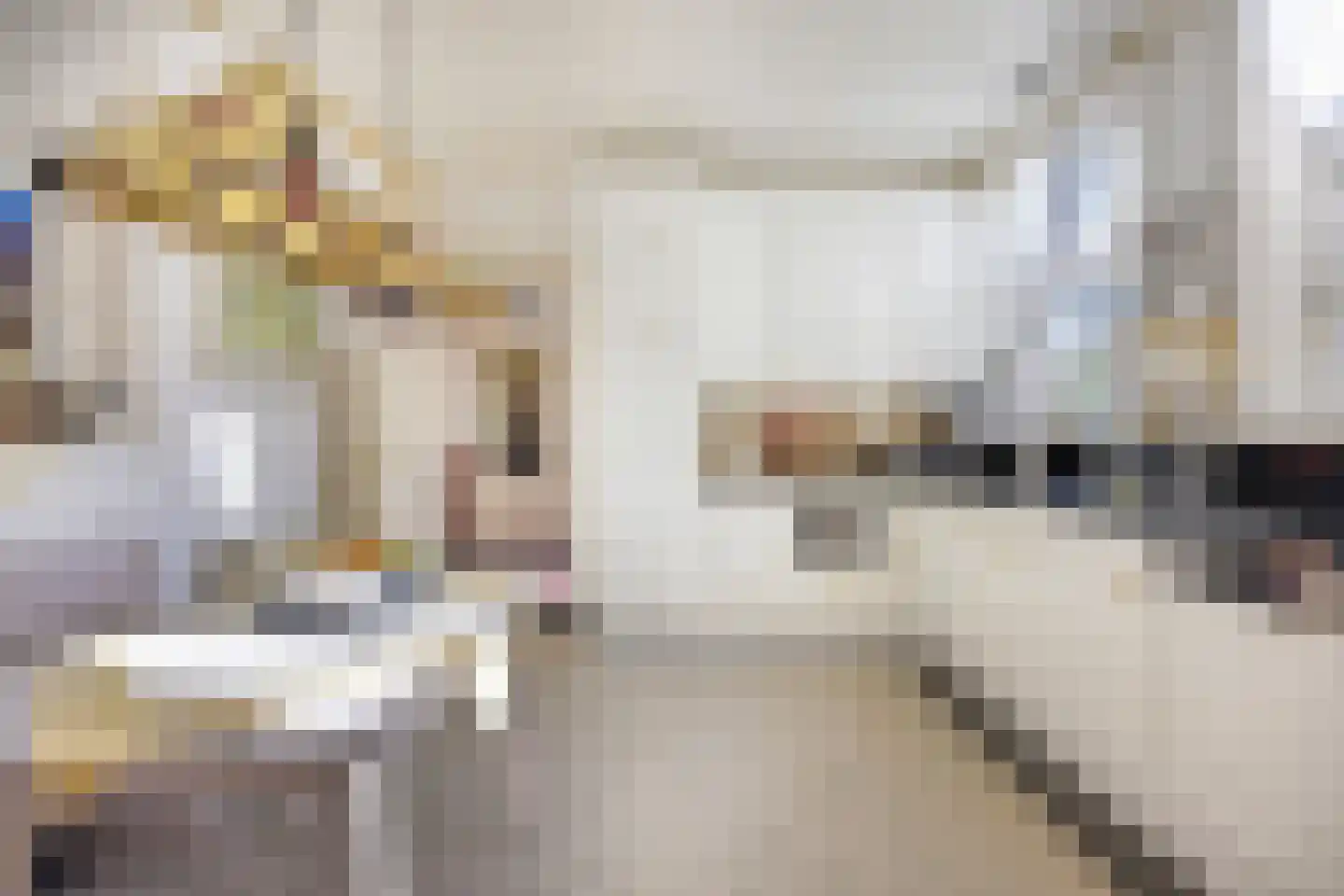 Dr. Baptiststraat 7 Megen thumbnail 6