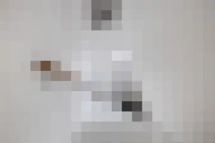 Dr. Batenburglaan 146 Breda thumbnail 11