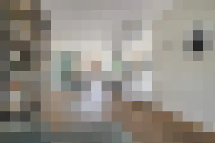 Dr. Batenburglaan 146 Breda thumbnail 20
