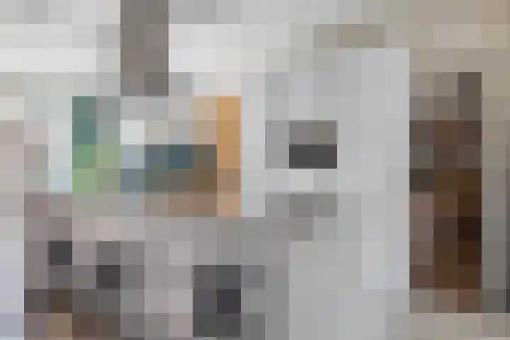 Dr. Batenburglaan 146 Breda thumbnail 26