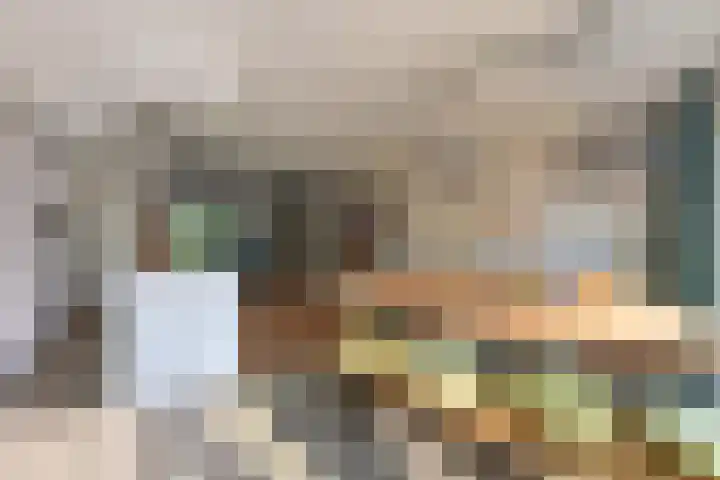 Dr. Batenburglaan 146 Breda thumbnail 30