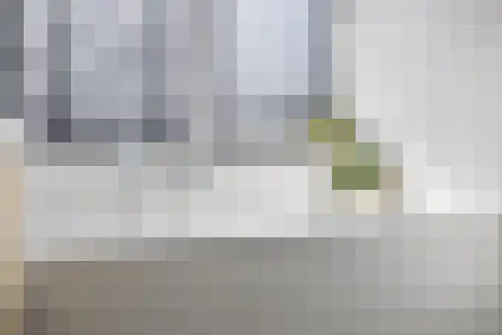 Dr. Batenburglaan 146 Breda thumbnail 43