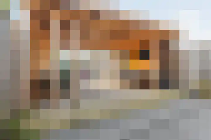 Dr. Batenburglaan 146 Breda thumbnail 48