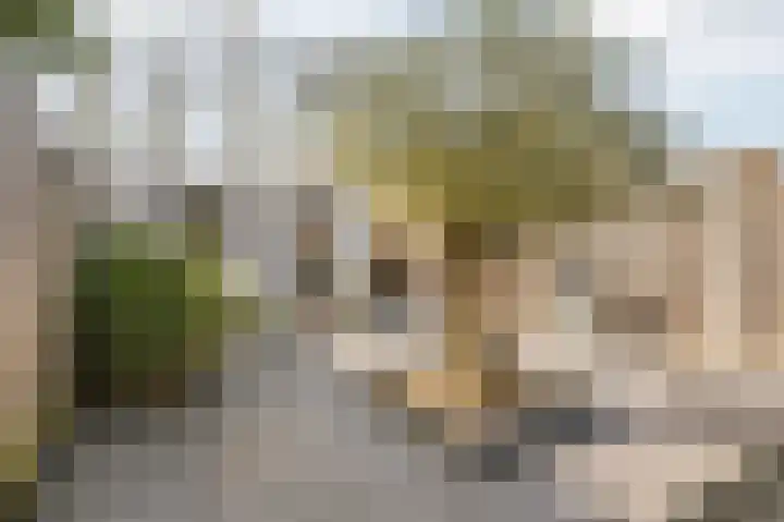 Dr. Batenburglaan 146 Breda thumbnail 52