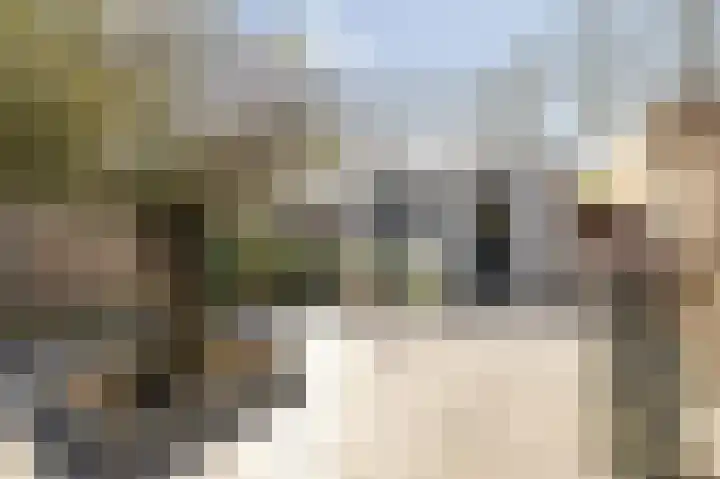 Dr. Batenburglaan 146 Breda thumbnail 54
