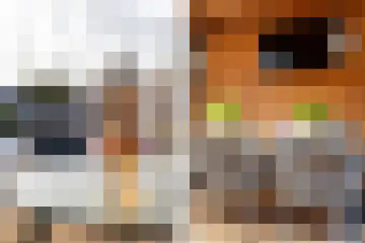 Dr. Batenburglaan 146 Breda thumbnail 56
