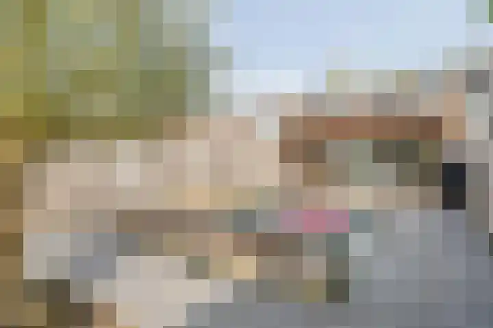 Dr. Batenburglaan 146 Breda thumbnail 57